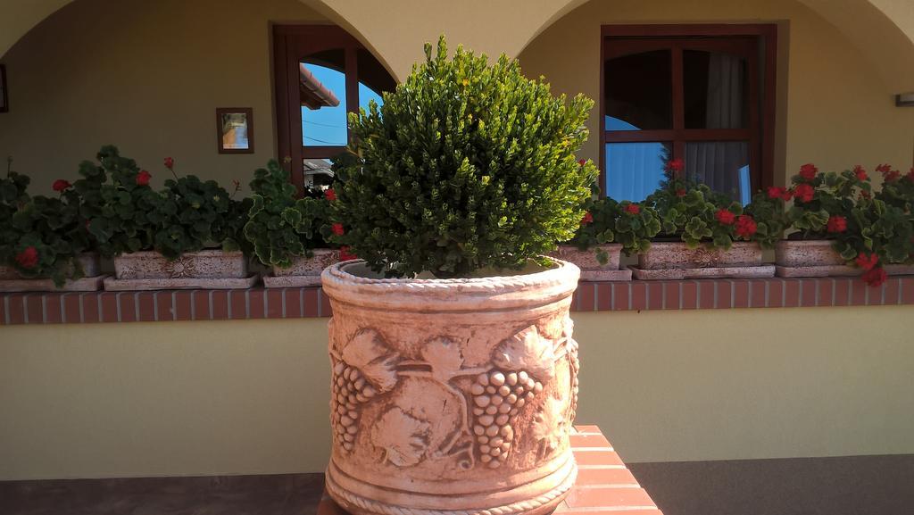Vitis Vendeghaz Hotel Becsehely Exterior foto