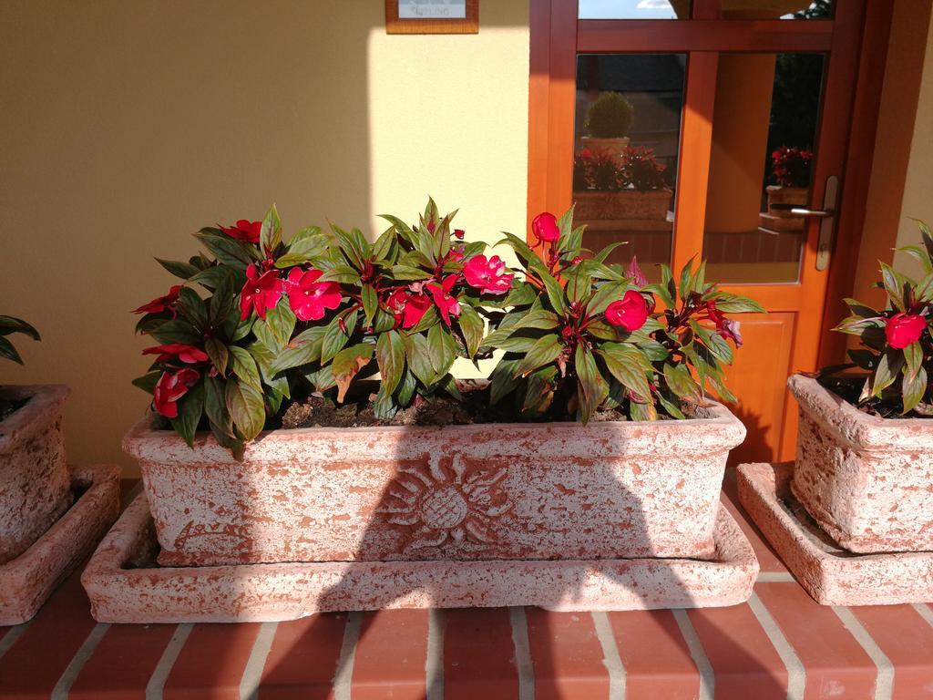 Vitis Vendeghaz Hotel Becsehely Exterior foto